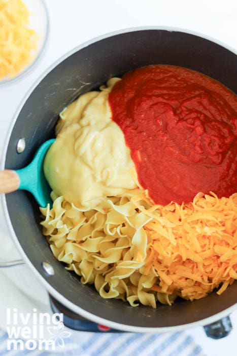 sauce, soup, noodles & cheese in a pot