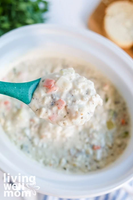 Close-up of creamy chicken wild rice soup on a spoon showing tender chicken and vegetables