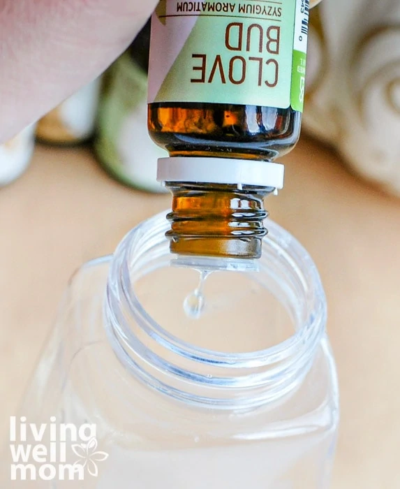 Pumpkin Spice DIY Foaming Hand Soap with Essential Oils