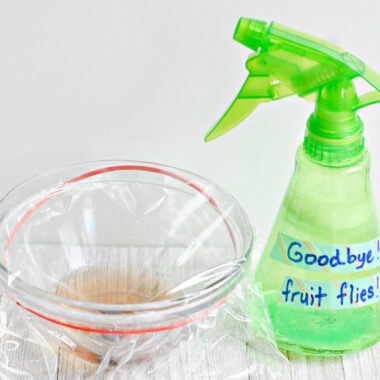 Fruit fly trap with apple cider vinegar next to a spray of fruit fly repellent