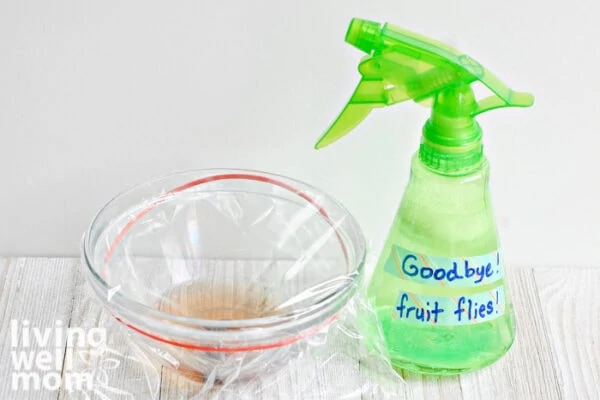 Fruit fly trap with apple cider vinegar next to a spray of fruit fly repellent