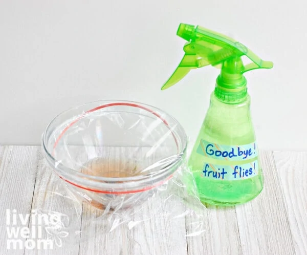 Cider Vinegar Fruit Fly Traps - Homespun Seasonal Living