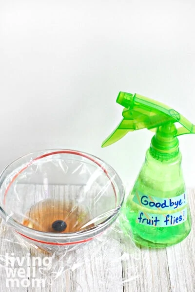 Fruit fly trap next to a DIY repellent