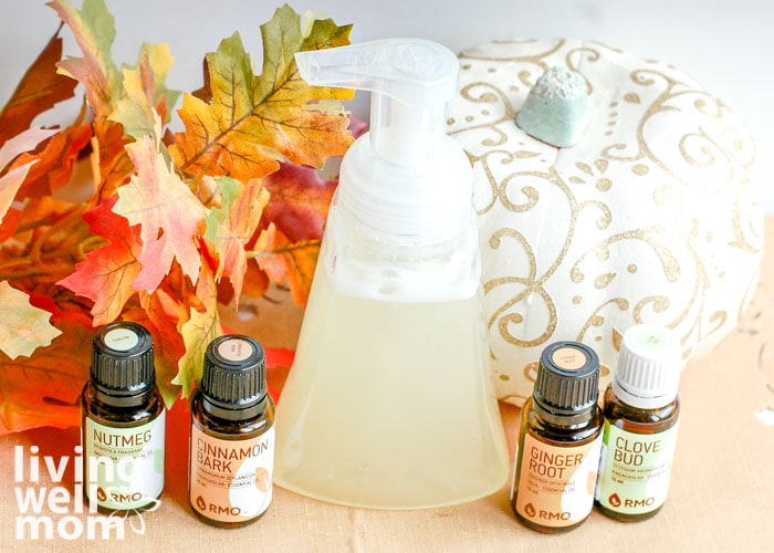 It's Fall Y'all Foaming Hand Soap - Simply Home Soaps