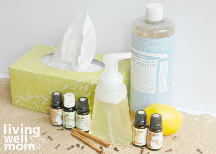 ingredients for foaming hand soap with castile soap