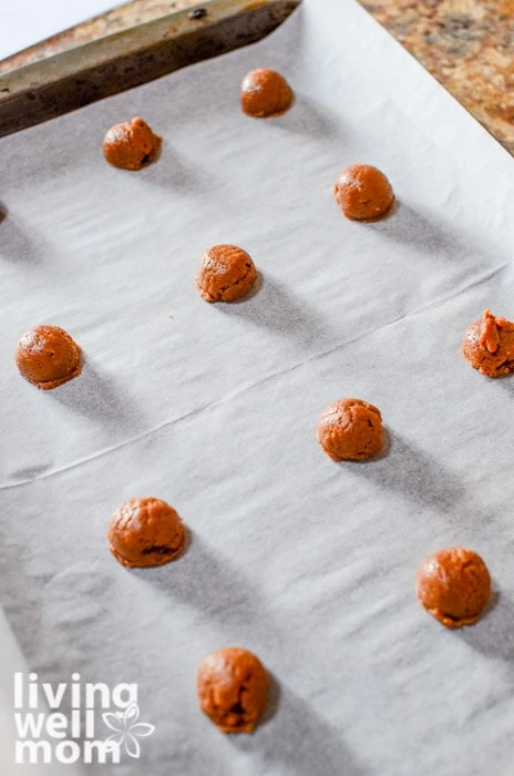 dough for chocolate cookies