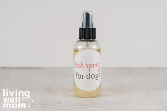 tick spray for dogs in spray bottle white background