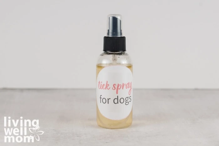 Homemade dog perfume outlet spray