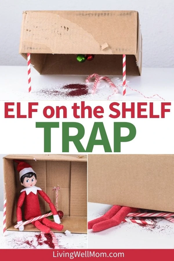 DIY elf on the shelf trap