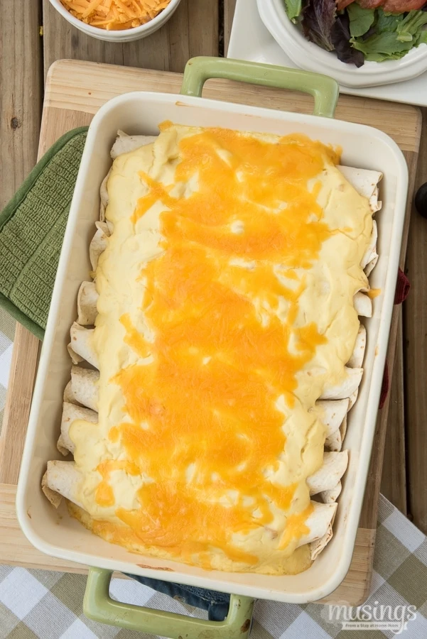 creamy chicken enchiladas after baking