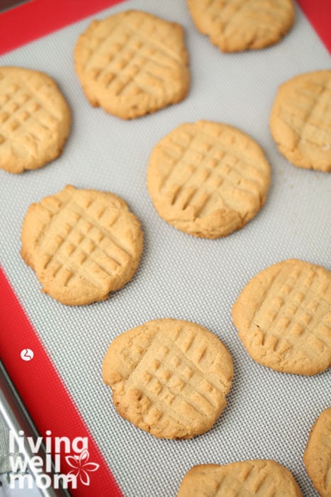 A sheet pan with freshly baked gluten free peanut butter cookies