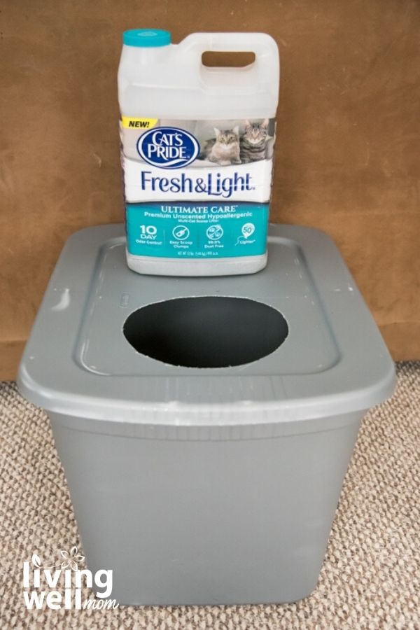 cat litter on top of gray bin with whole homemade cat litter box