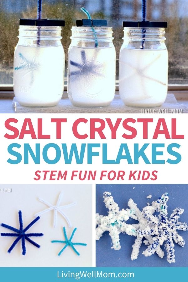 easy diy salt crystals made from pipe cleaners