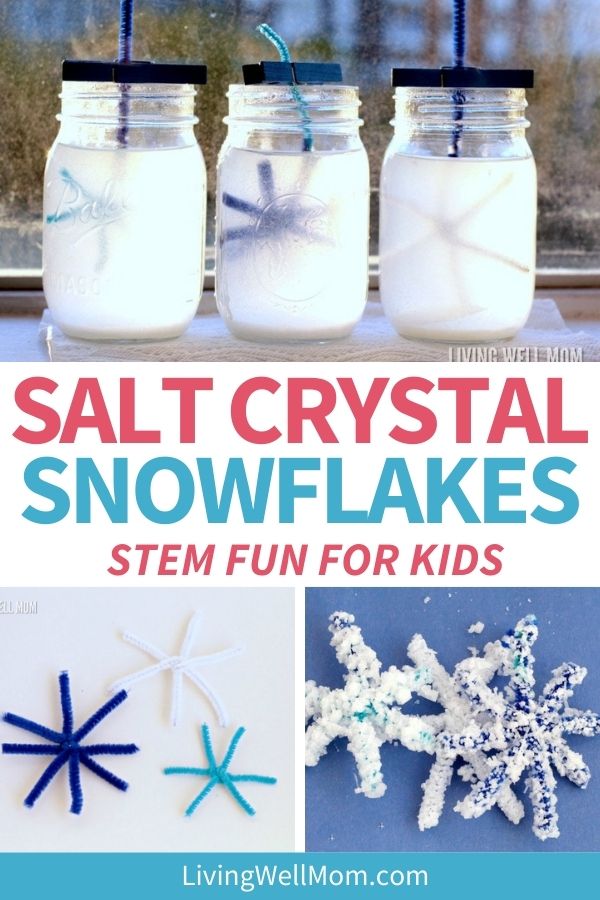 Salt Crystal Snowflake Easy Winter STEM Science for Kids