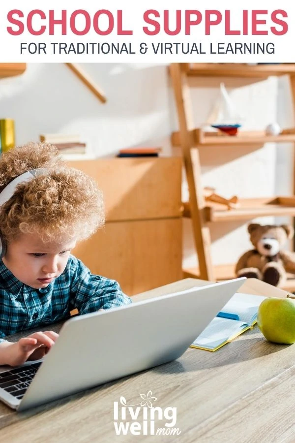 young boy working on his computer learning virtually