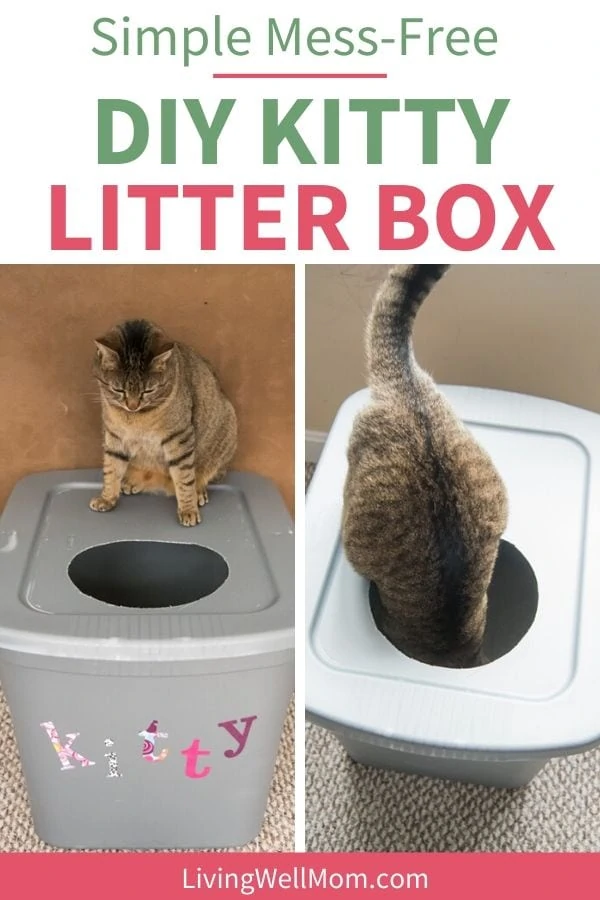 cat going into a plastic litter box with a hole in it