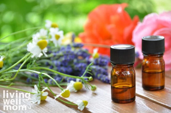 Chamomile and lavender flowers surrounding an essential oil bottle