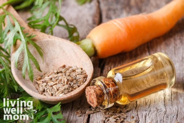 carrot seeds in a wooden spoon next to a carrot and a bottle of essential oil