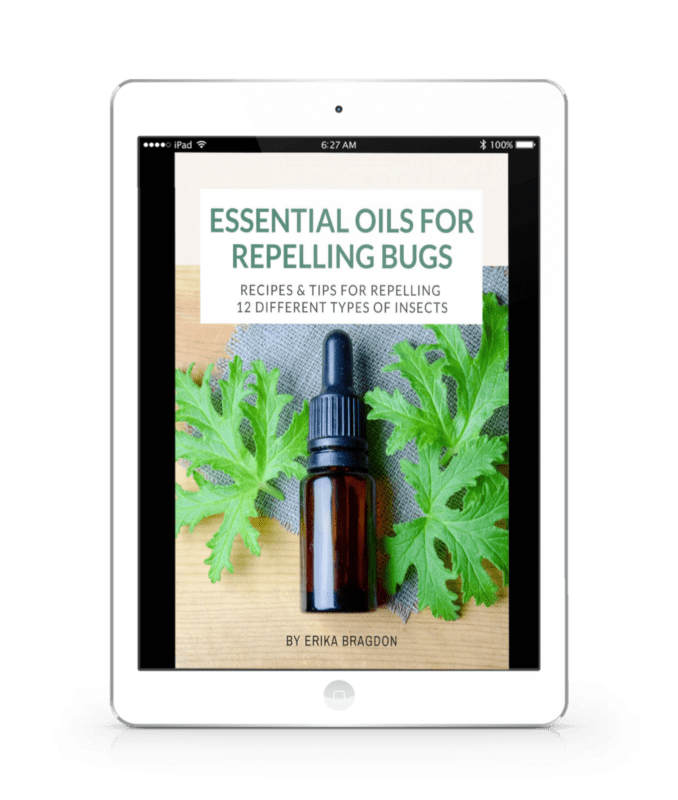 essential oil bug repellant ebook cover on iPad screen