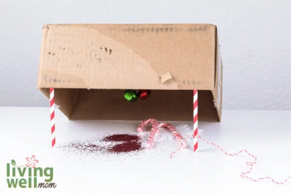 DIY elf on the shelf trap