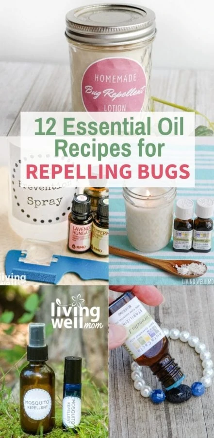 essential oil recipes for repelling bugs