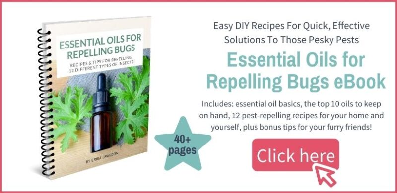 essential oils for repelling bugs ebook offer