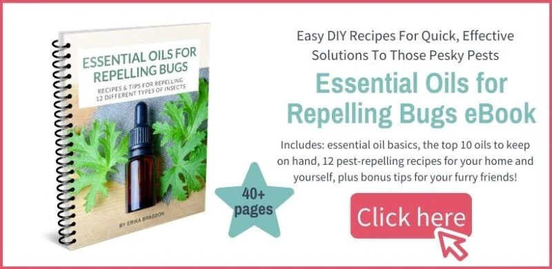 essential oils for repelling bugs ebook offer