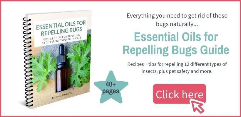essential oils for repelling bugs ebook with text graphic