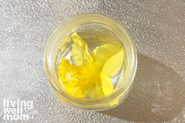 Yellow flower floating in water to create flower essences