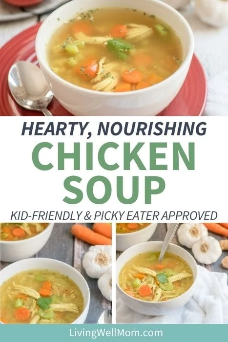 collection of hearty chicken soup pictures