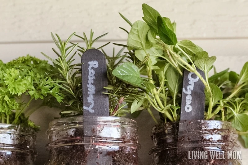 Three herb planters filled with plants and popsicle stick garden markers made by kids. 