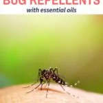 homemade bug repellents