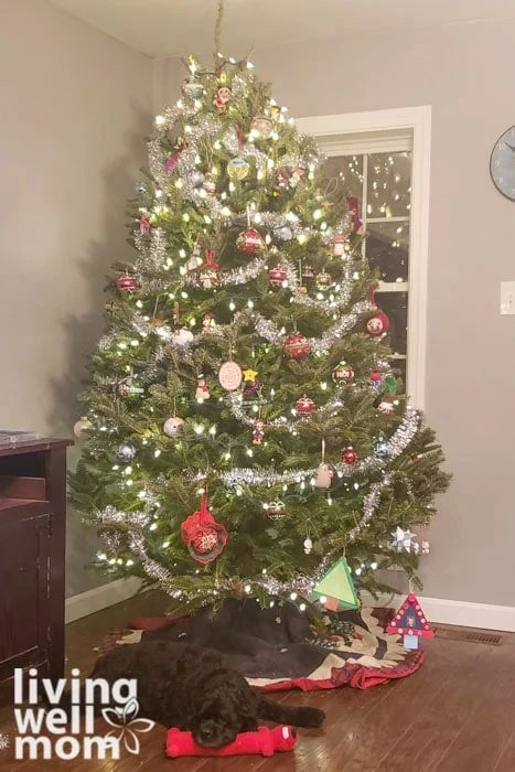 How to keep a christmas tree alive with three simple tips