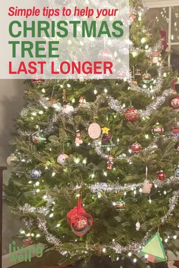 how to care for a fresh christmas tree