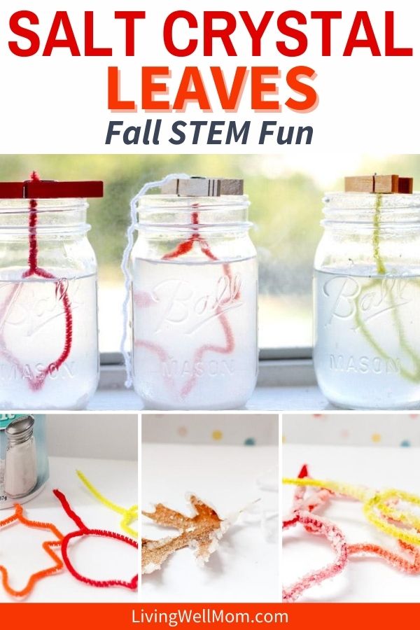 fall stem activity collage