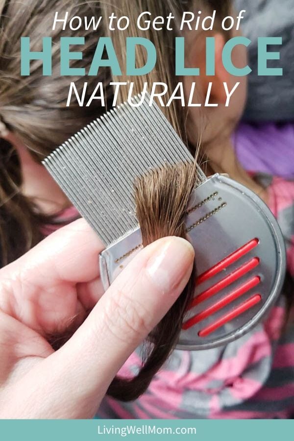 DIY Natural Lice Treatment at Home Living Well Mom