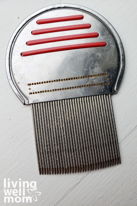 comb for natural lice treatment at home