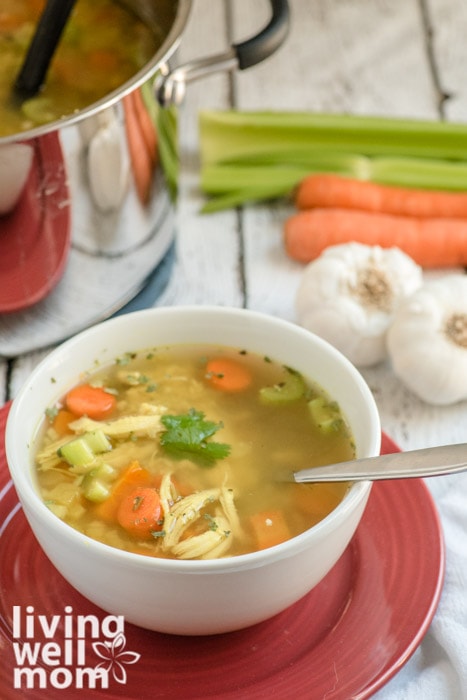 Chicken soup with celery, carrots, and garlic in the background