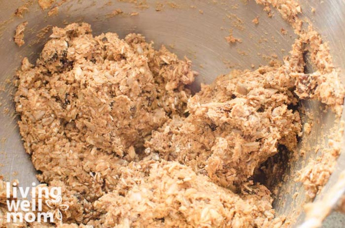 Peanut butter oatmeal ball dough