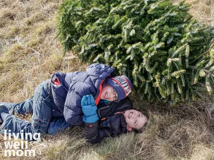 Kids playing next to a freshly cut christmas tree