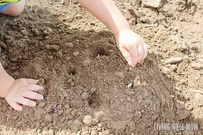 Planting pumpkin seeds as part of a series of outdoor activities for kids