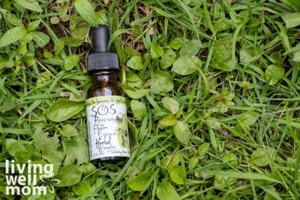 flower essence blend as a natural remedy