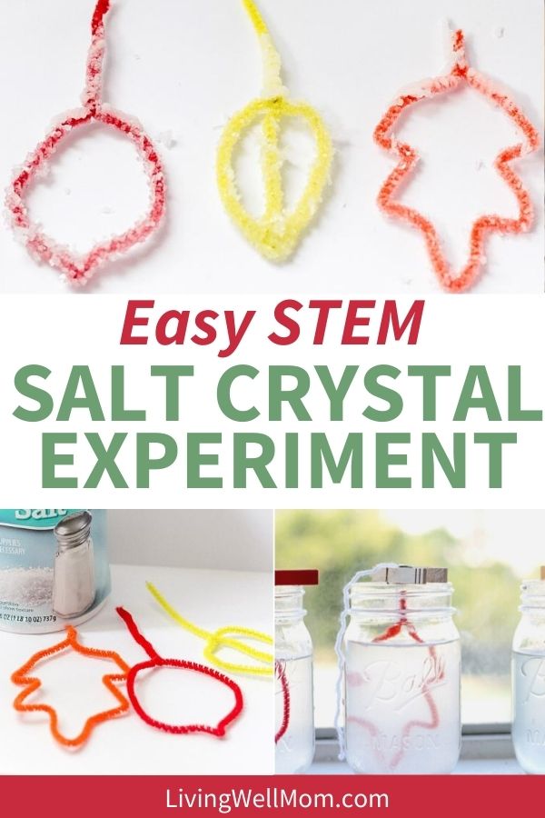 STEM activity for kids - mason jar salt crystal leaves