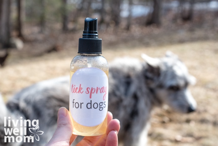 outside holding tick spray bottle with dog