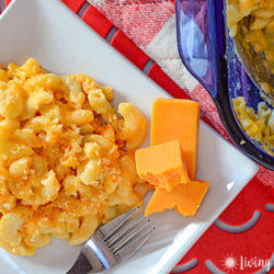 homemade macaroni and cheese on plate