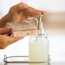 putting liquid homemade dish soap on a sponge